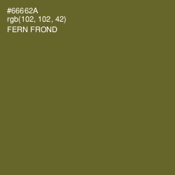 #66662A - Fern Frond Color Image